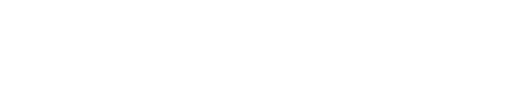 EMBARK LOGO WHITE
